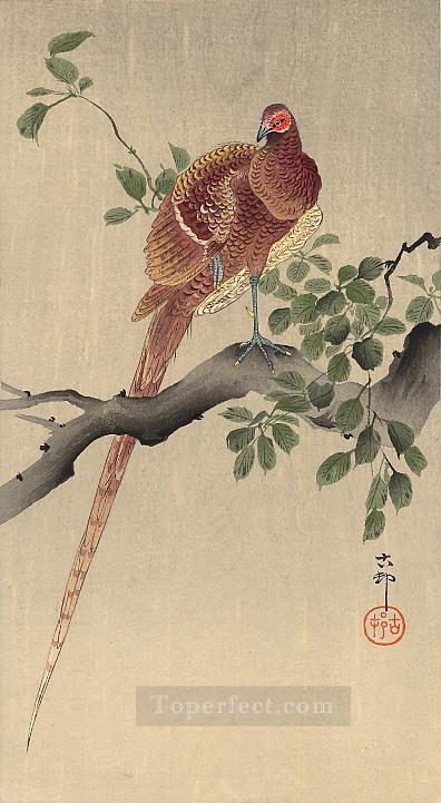 pheasant on branch Ohara Koson Shin hanga Oil Paintings